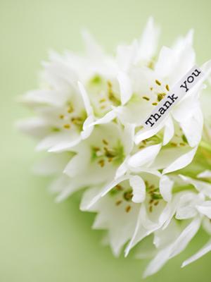 iphoneのスマホカバーが豊富にそろっている