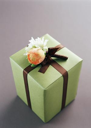 ツムラの小青竜湯の効能効果について